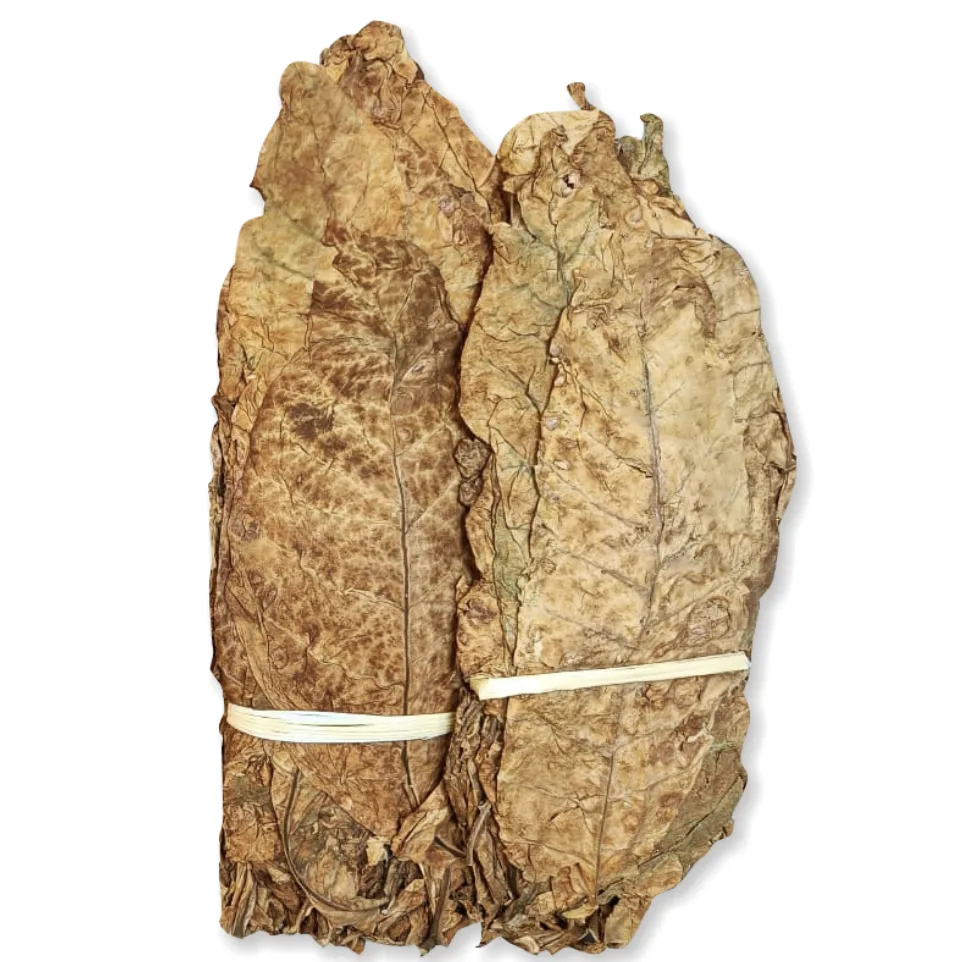 Golden R/LC tobacco leaves