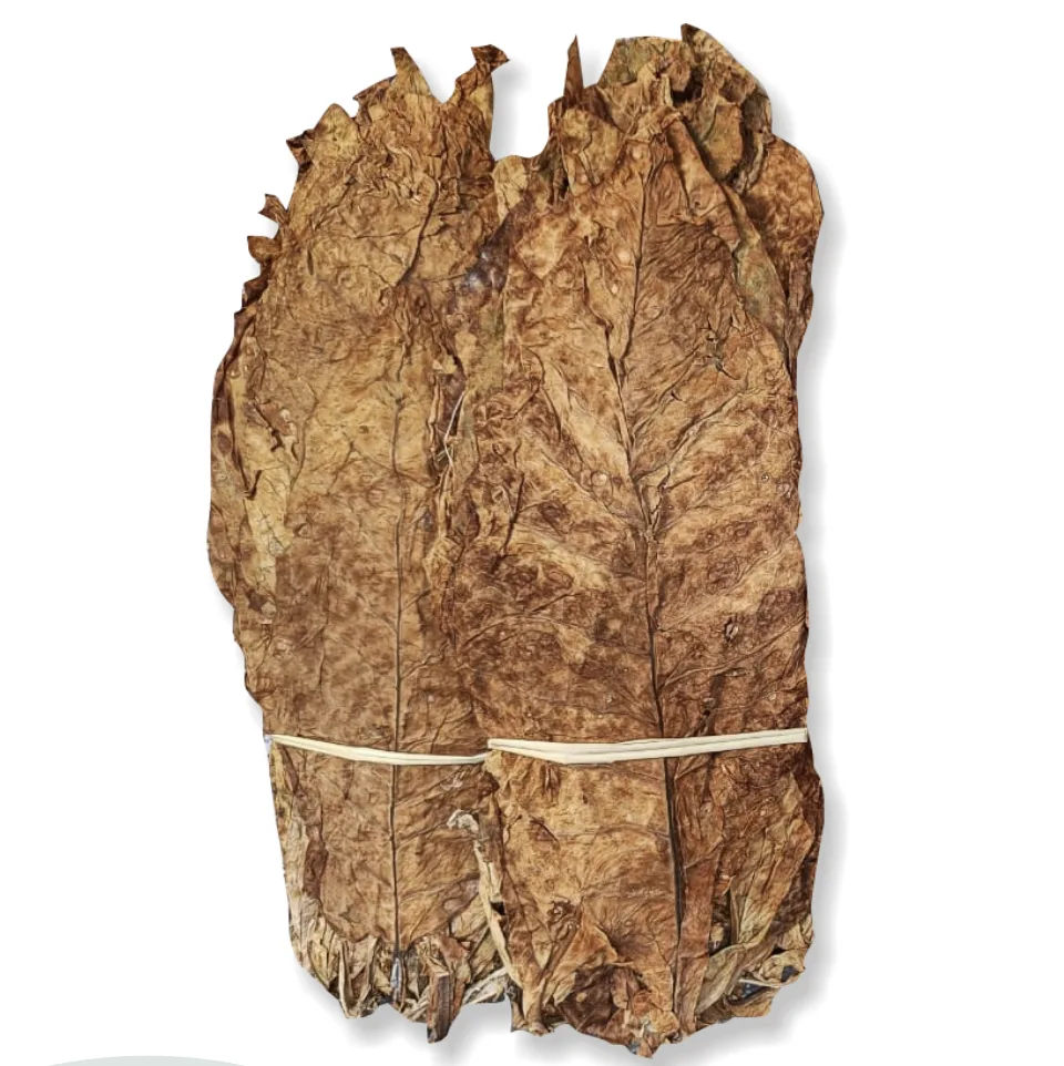 Golden L/CA — Lal Chopadia tobacco leaves