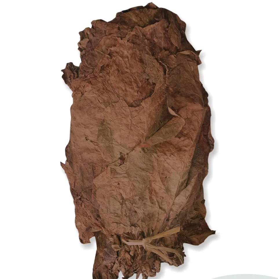 Black Chopadia tobacco leaves